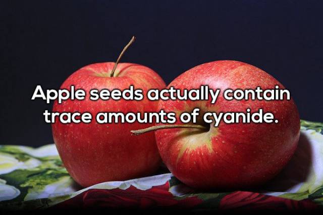 20 Random Interesting Facts About Food