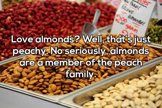 20 Random Interesting Facts About Food