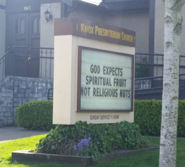 Humour - 103 Knox Presbyterian Church God Expects Spiritual Fruit Not Religious Nuts Sunday Service 1100