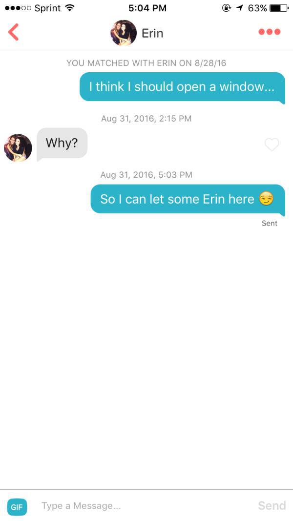 tinder - screenshot - ...00 Sprint @ 1 63%D Erin You Matched With Erin On 82816 I think I should open a window... , Why? , So I can let some Erin here Sent Gif Type a Message... Send