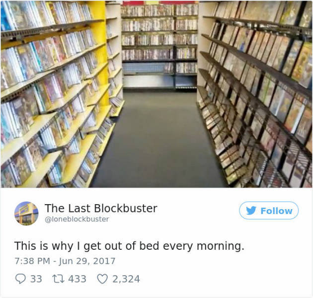 inventory - The Last Blockbuster This is why I get out of bed every morning. 33 12 433 2,324