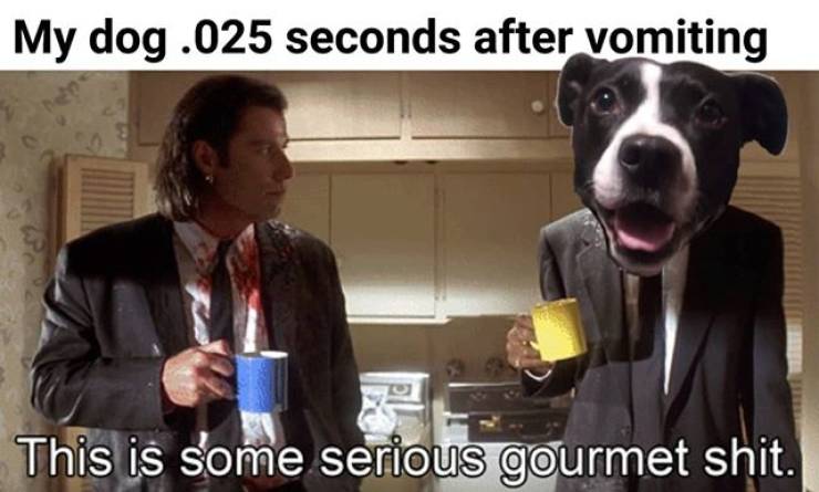 gourmet gif - My dog .025 seconds after vomiting This is some serious gourmet shit.