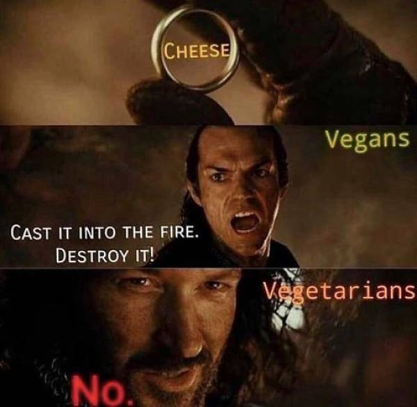 cast it into the fire meme - Cheese Vegans Cast It Into The Fire. Destroy It! vegetarians No.