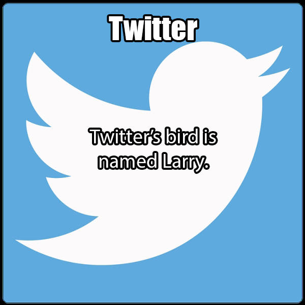 wing - Twitter Twitter's bird is named Larry