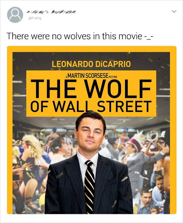 wolf of wall street blu ray - There were no wolves in this movie Leonardo Dicaprio Amartin Scorsese Picture The Wolf Of Wall Street