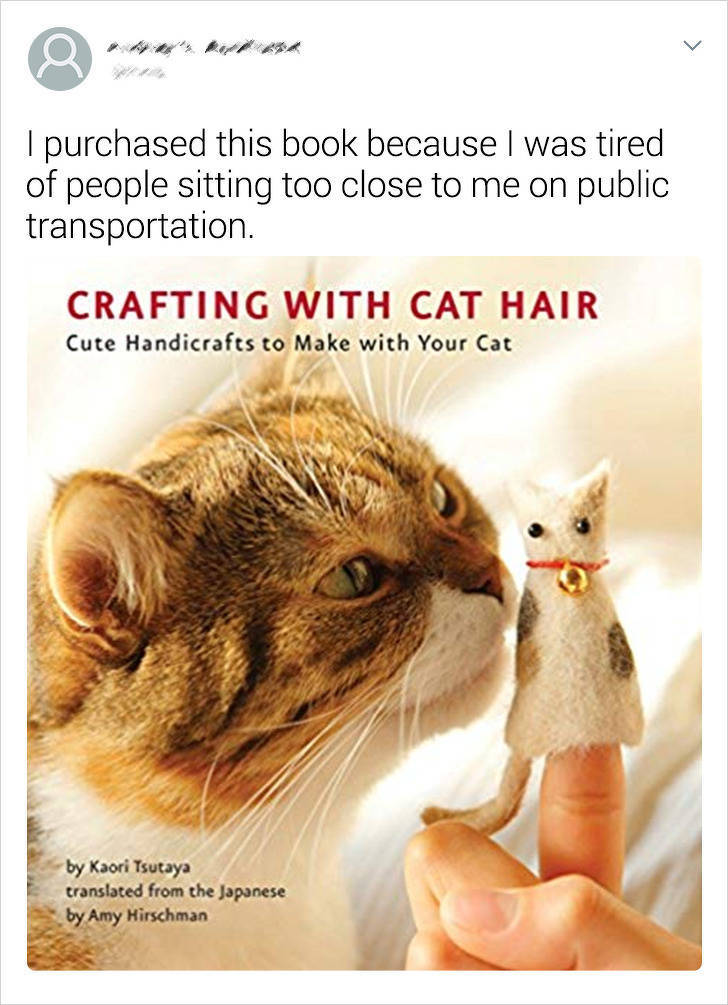 craft with cat hair - I purchased this book because I was tired of people sitting too close to me on public transportation. Crafting With Cat Hair Cute Handicrafts to Make with Your Cat by Kaori Tsutaya translated from the Japanese by Amy Hirschman