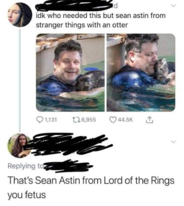 sean astin otter meme - d idk who needed this but sean astin from stranger things with an otter Q1131 226,955 1 That's Sean Astin from Lord of the Rings you fetus