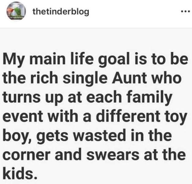 quotes - thetinderblog My main life goal is to be the rich single Aunt who turns up at each family event with a different toy boy, gets wasted in the corner and swears at the kids.