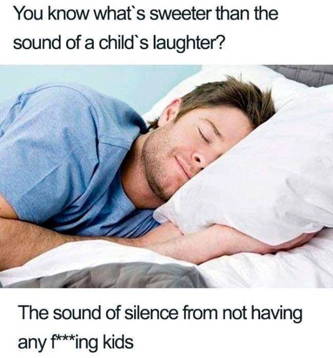 fucking kids meme - You know what's sweeter than the sound of a child's laughter? The sound of silence from not having any fing kids