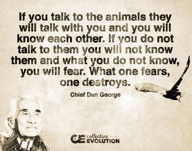 chief dan george - If you talk to the animals they will talk with you and you will know each other. If you do not talk to them you will not know them and what you do not know, you will fear. What one fears, one destroys. Chief Dan George collective Evolut