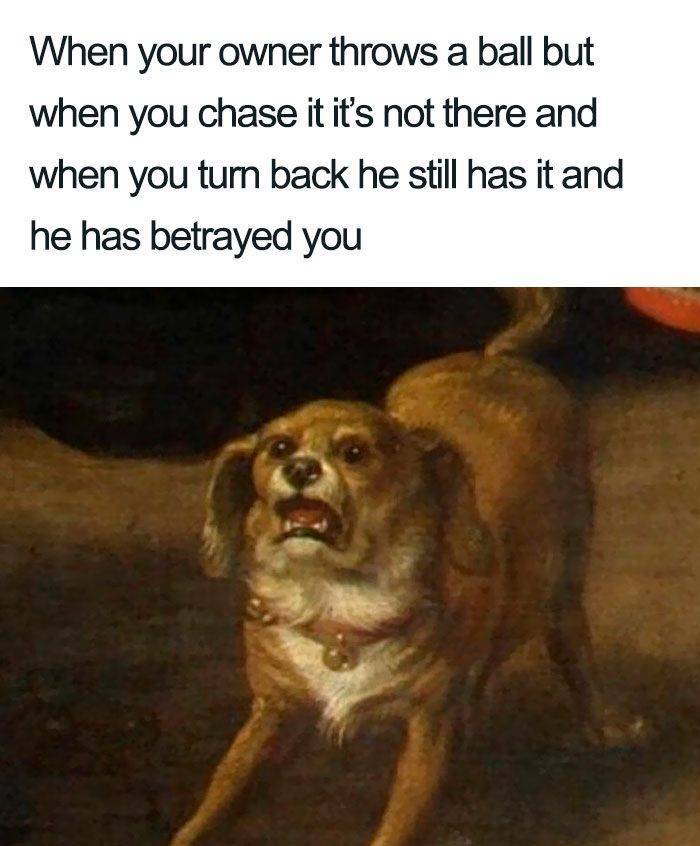 renaissance art dog - When your owner throws a ball but when you chase it it's not there and when you turn back he still has it and he has betrayed you