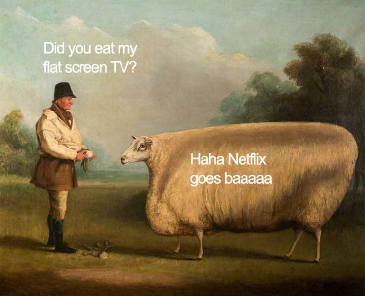 back in my day we rode these long bois to school - Did you eat my flat screen Tv? Haha Netflix goes baaaaa