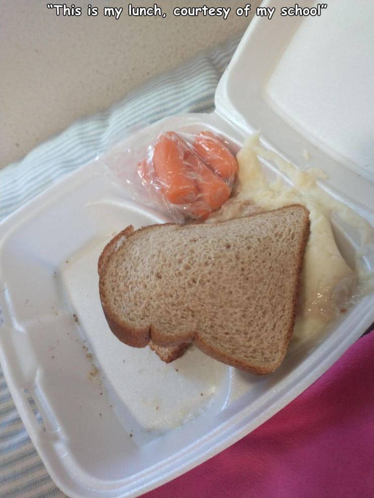 meal - "This is my lunch, courtesy of my schools