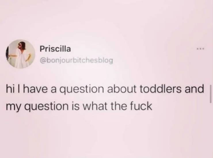 website - Priscilla hil have a question about toddlers and my question is what the fuck