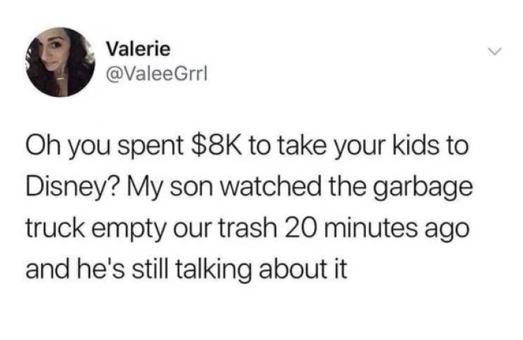 funny relatable tweets - Valerie Oh you spent $8K to take your kids to Disney? My son watched the garbage truck empty our trash 20 minutes ago and he's still talking about it