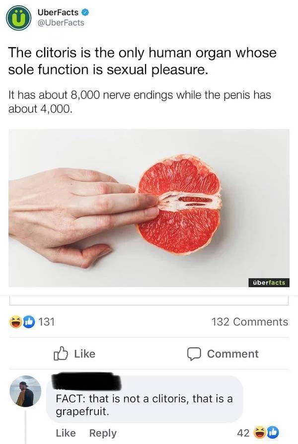 Vagina - 0 UberFacts The clitoris is the only human organ whose sole function is sexual pleasure. It has about 8,000 nerve endings while the penis has about 4,000. berfacts 131 132 Comment Fact that is not a clitoris, that is a grapefruit. 42