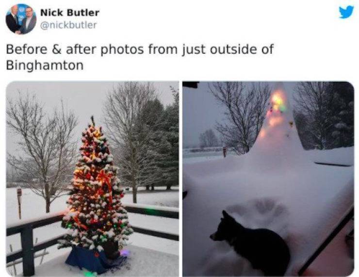 snow - Nick Butler Before & after photos from just outside of Binghamton F