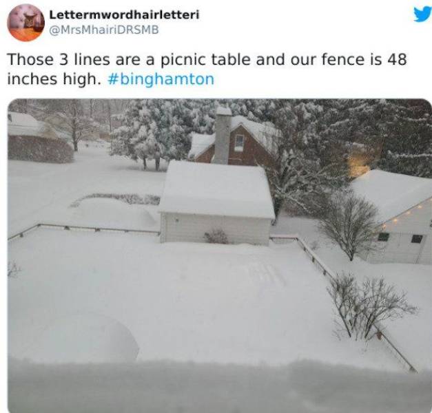 snow - Lettermwordhairletteri Those 3 lines are a picnic table and our fence is 48 inches high.