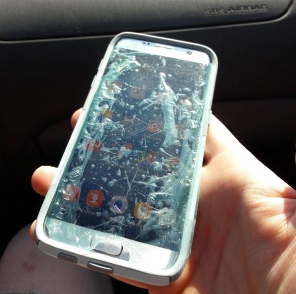screen protector funny