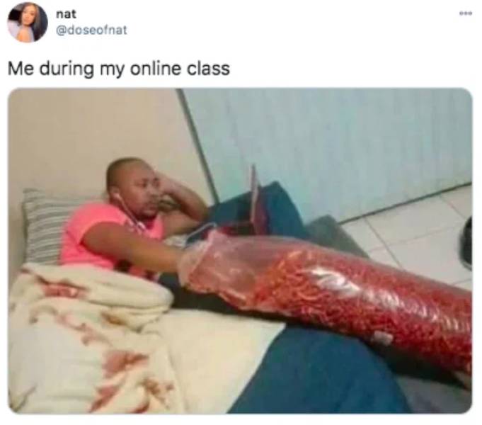 hilarious most hilarious memes funny - nat Me during my online class