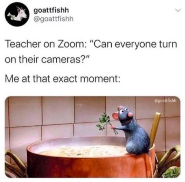 ratatouille movie - goattfishh Teacher on Zoom "Can everyone turn on their cameras?" Me at that exact moment goattfishh