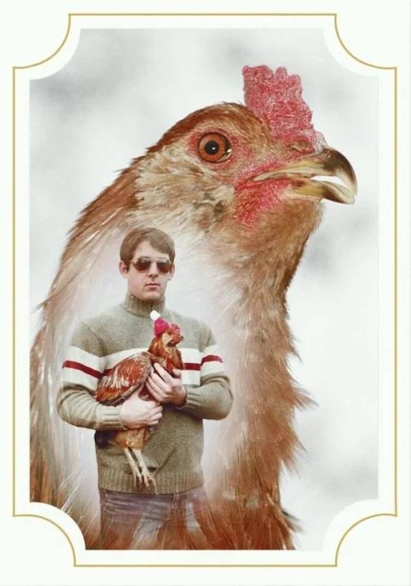 man and his chicken