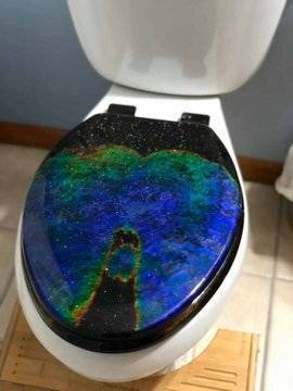 mood toilet seat