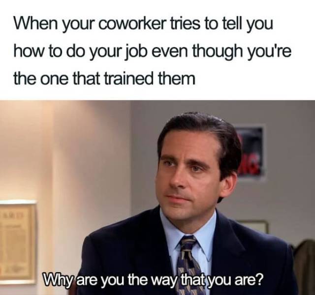 funny office memes - When your coworker tries to tell you how to do your job even though you're the one that trained them Why are you the way that you are?