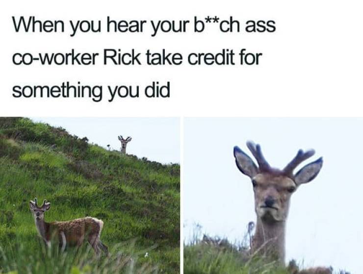 dump animal - When you hear your bch ass coworker Rick take credit for something you did