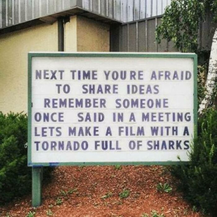 next time you are afraid to share ideas - Next Time You Re Afraid To Ideas Remember Someone Once Said In A Meeting Lets Make A Film With A Tornado Full Of Sharks