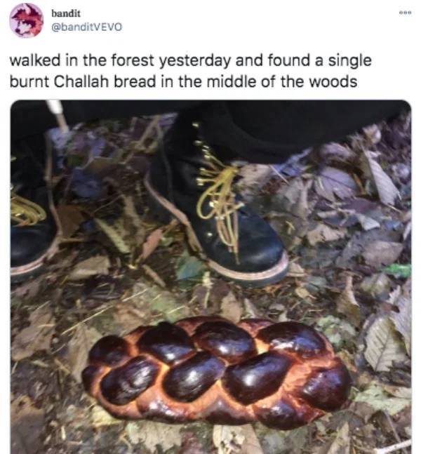fauna - Ob bandit walked in the forest yesterday and found a single burnt Challah bread in the middle of the woods Po