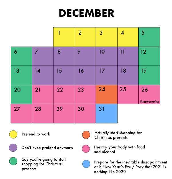 funny truth memes - my schedule for december - Pretend to work Actually start shopping for Christmas presents Destroy your body with food and alcohol Don't even pretend anymore Say