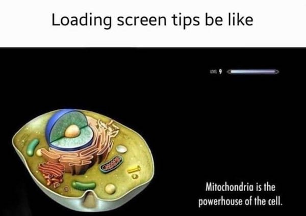 funny truth memes - Loading screen tips be like - Mitochondria is the powerhouse of the cell.