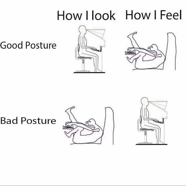 funny truth memes - How I look How I Feel Good Posture Bad Posture
