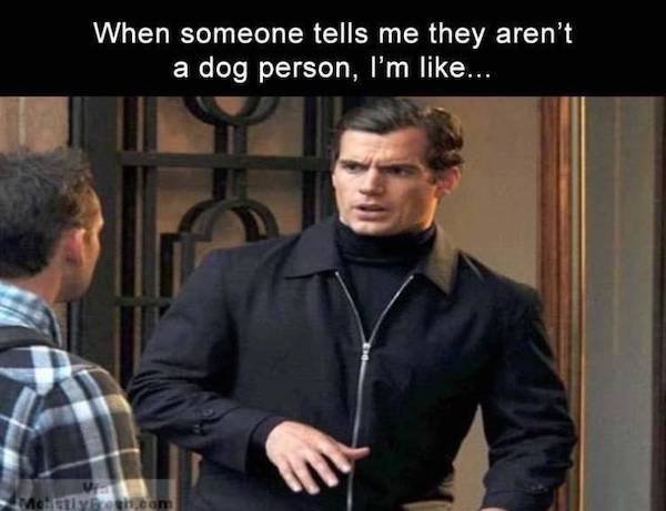 funny truth memes - When someone tells me they aren't a dog person, I'm like...