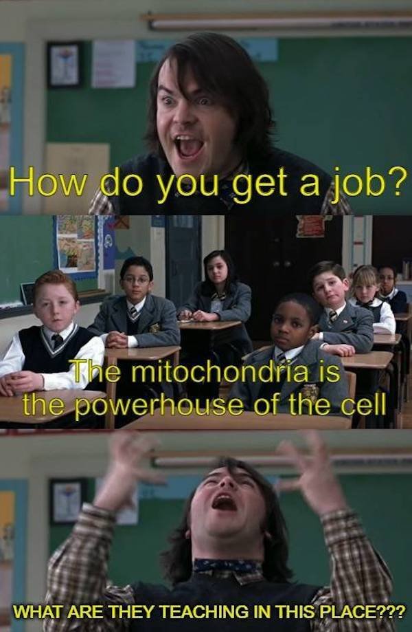funny truth memes - How do you get a job? The mitochondria is the powerhouse of the cell What Are They Teaching In This Place???