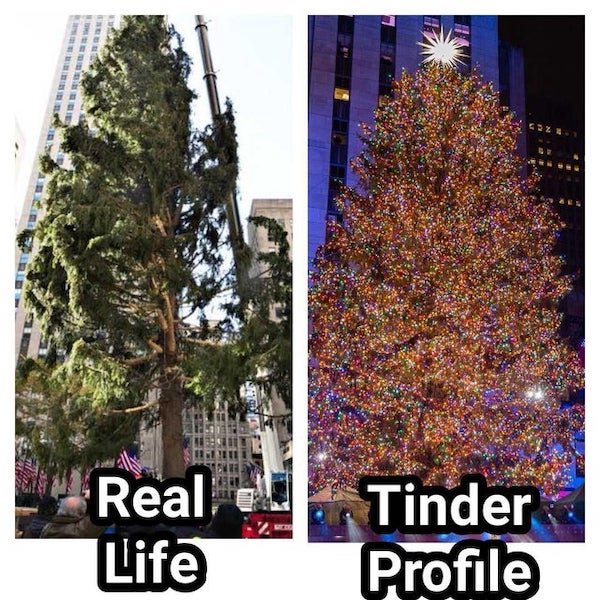 funny truth memes - 2020 rockefeller christmas tree - Real Life Tinder Profile
