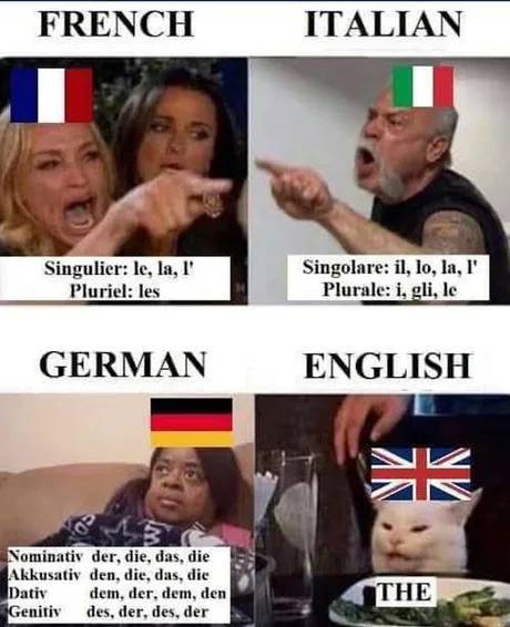 funny memes - french italian german english memes