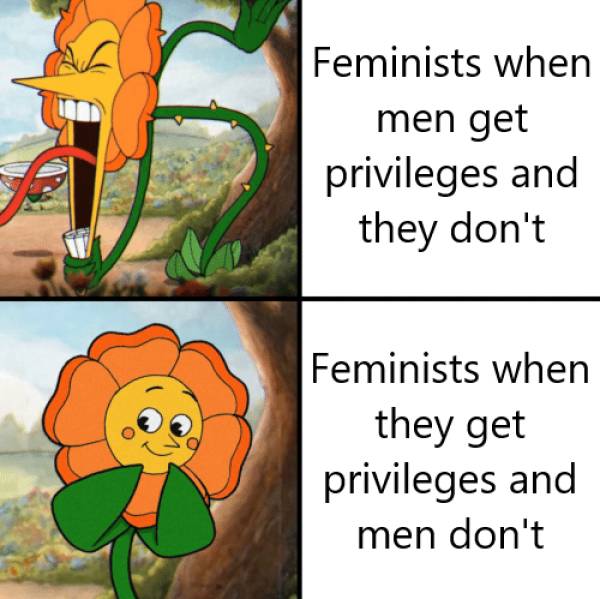 funny memes - Feminists when men get privileges and they don't Feminists when they get privileges and men don't