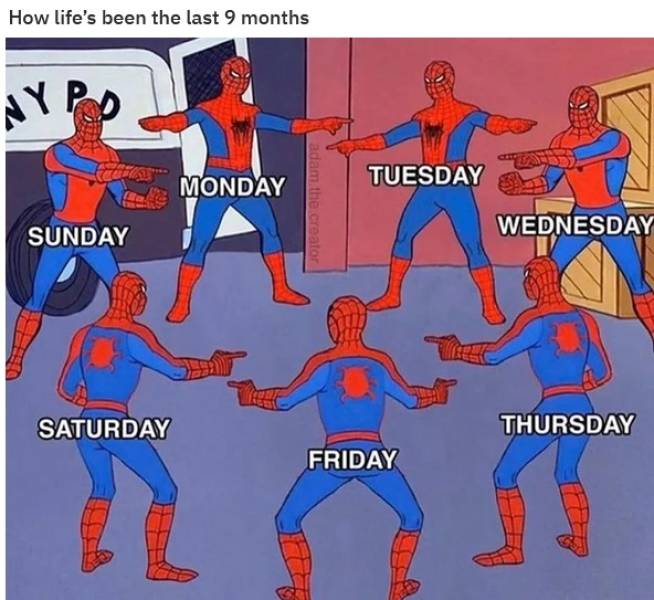 funny memes - covid spider-man meme - How life's been the last 9 months Ny Tuesday Monday Wednesday Sunday Saturday Thursday Friday