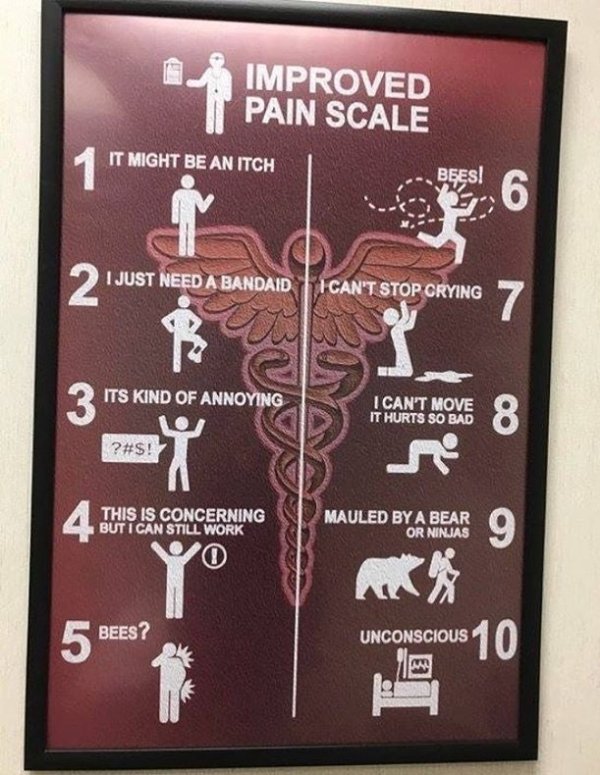 improved pain scale - Improved Pain Scale It Might Be An Itch 1 Bges! 6 2 I Just Need A Bandaid Can'T Stop Grying 7 I. 3 Its Kind Of Annoying I Can'T Move It Hurts So Bad 8 ?#$! 4 This Is Concerning But I Can Still Work Mauled By A Bear Or Ninjas 9 yo Bee