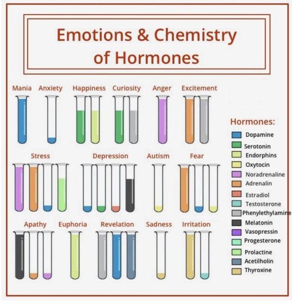 emotions and chemistry of hormones - Emotions & Chemistry of Hormones Mania Anxiety Happiness Curiosity Anger Excitement Tu U Tu Ttuu uuuT U Tuu Stress Depression Autism Fear Hormones Dopamine Serotonin Endorphins Oxytocin Noradrenaline Adrenalin Estradio