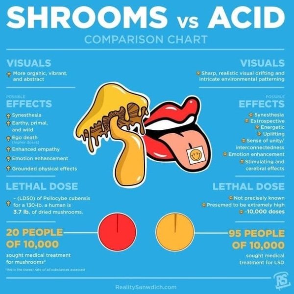 cartoon - Shrooms vs Acid Comparison Chart Visuals More organic, vibrant, and abstract Visuals Sharp, realistic visual drifting and intricate environmental patterning Effects Synesthesia Earthy, primal and wild Ego death 9 Enhanced empathy Emotion enhance