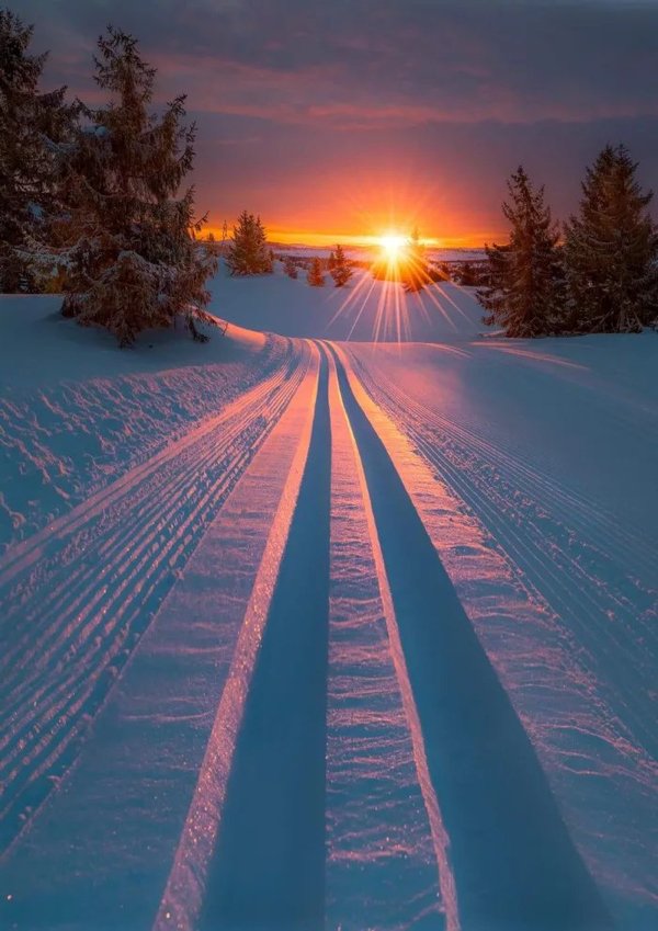 “Snow tracks in the sunset.”