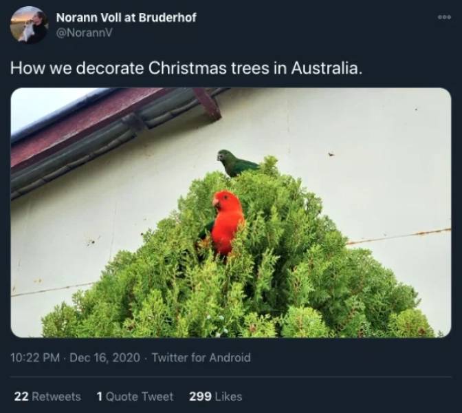 27 Pics Explaining Christmas In Australia