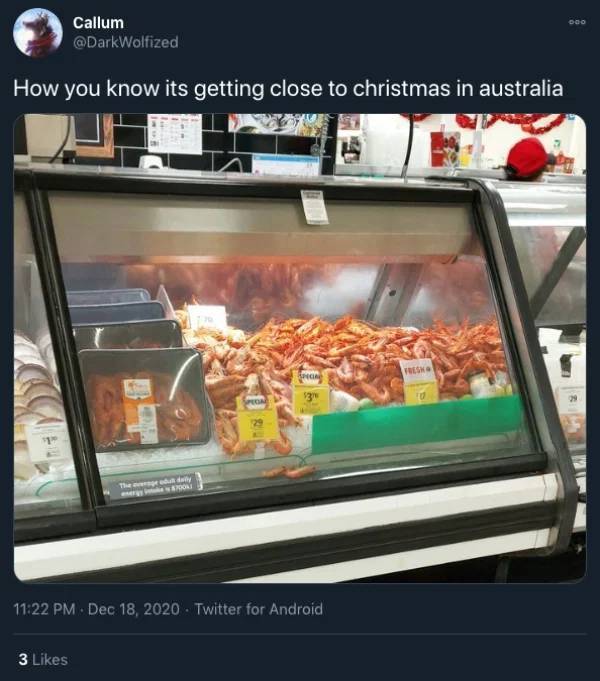 27 Pics Explaining Christmas In Australia