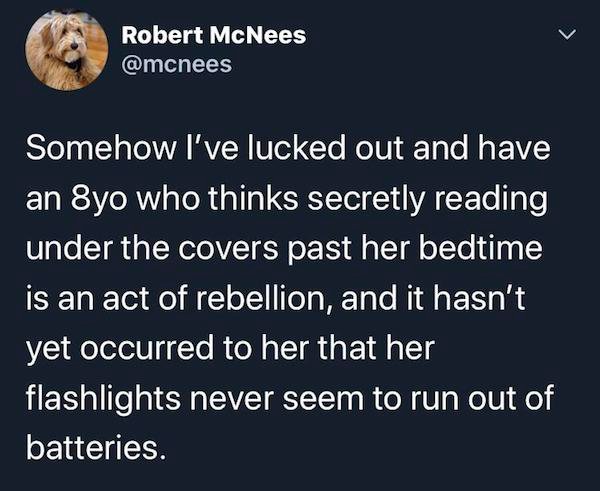 he loved big brother - Robert McNees Somehow I've lucked out and have an 8yo who thinks secretly reading under the covers past her bedtime is an act of rebellion, and it hasn't yet occurred to her that her flashlights never seem to run out of batteries.