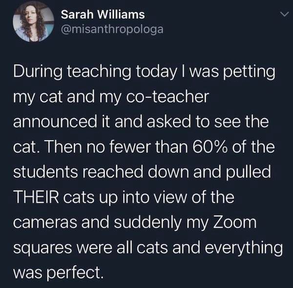 atmosphere - Sarah Williams During teaching today I was petting my cat and my coteacher announced it and asked to see the cat. Then no fewer than 60% of the students reached down and pulled Their cats up into view of the cameras and suddenly my Zoom squar