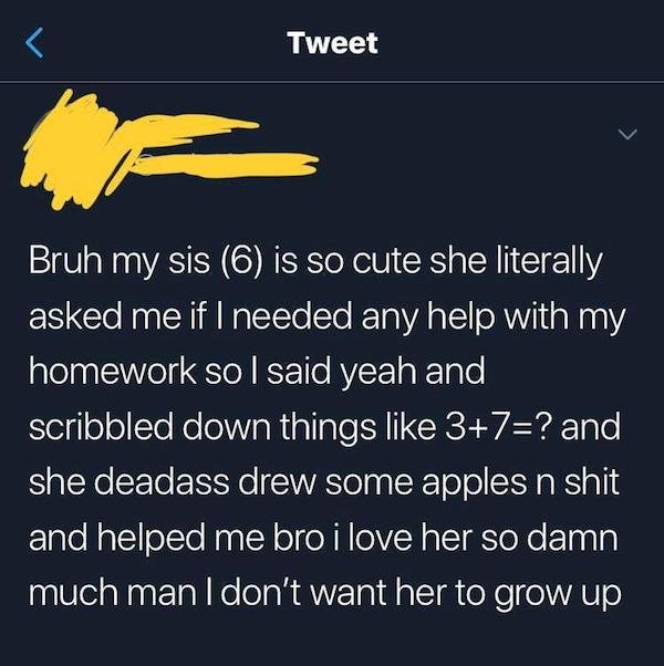 memes on brother and sister - P Tweet Bruh my sis 6 is so cute she literally asked me if I needed any help with my homework so I said yeah and scribbled down things 37? and she deadass drew some apples n shit and helped me bro i love her so damn much man 