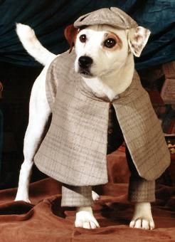 wishbone sherlock holmes